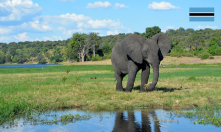 National day of Botswana